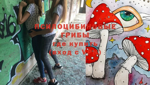 тгк Алзамай